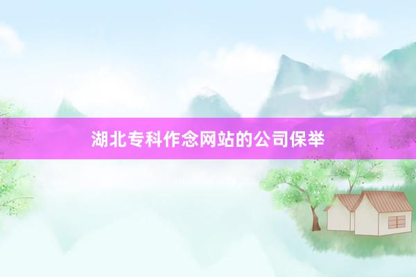 湖北专科作念网站的公司保举