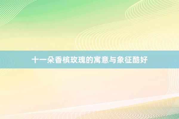 十一朵香槟玫瑰的寓意与象征酷好