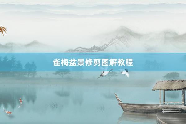 雀梅盆景修剪图解教程